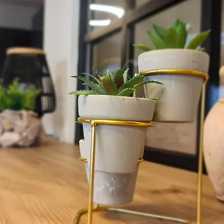 Jk Luxury Old Town Apartment *